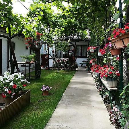 Flower House Constanta Ngoại thất bức ảnh